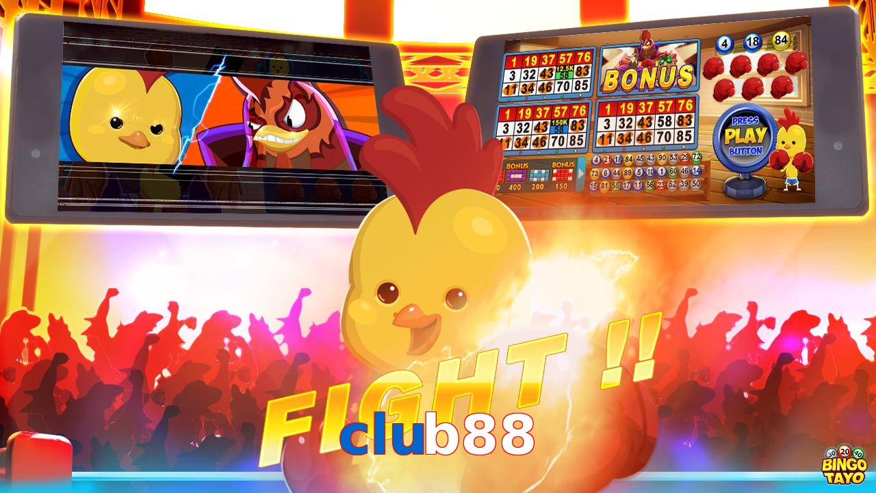 club88